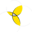 SSIS Logo